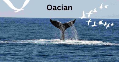 Oacian
