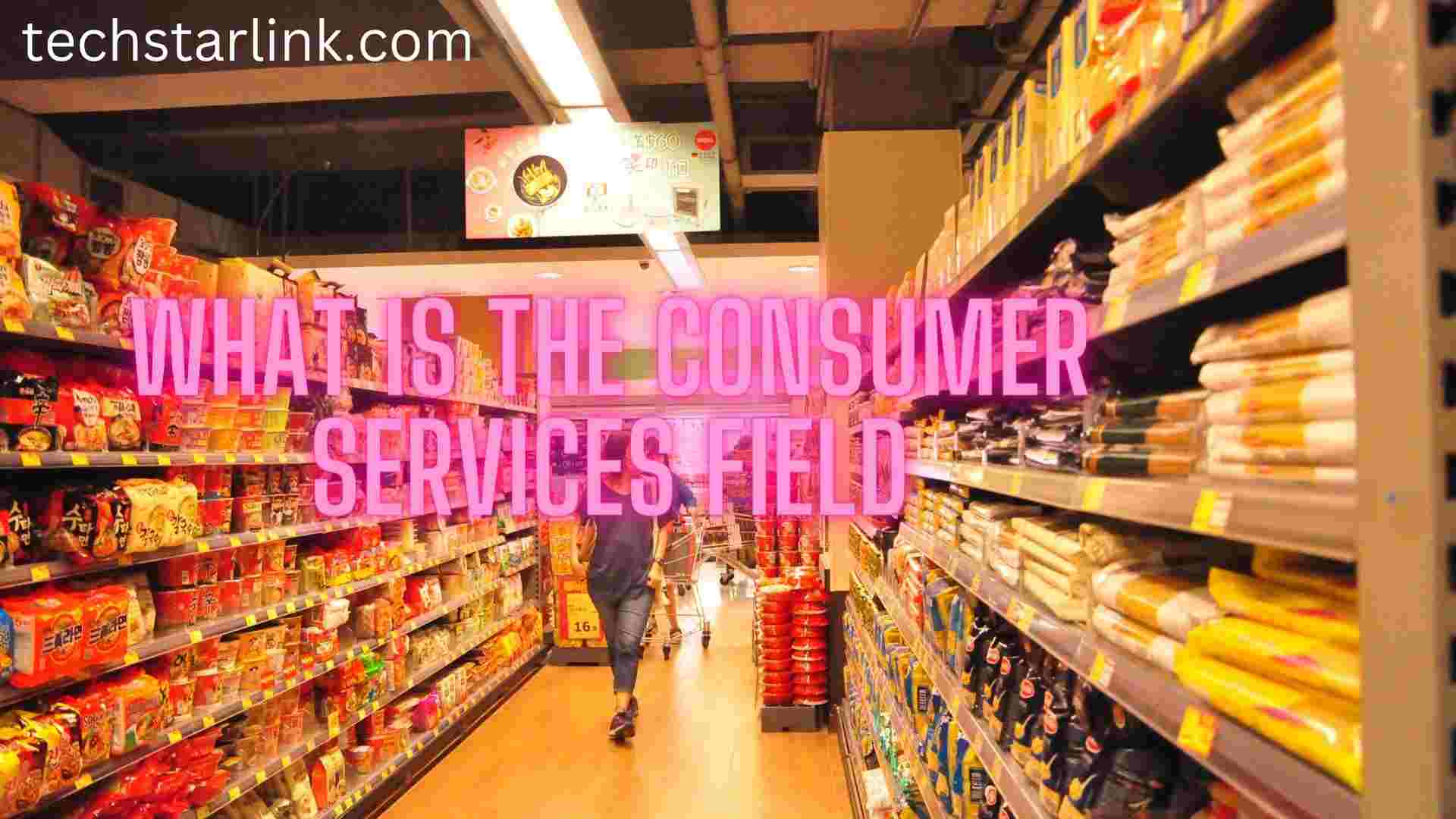 What is the consumer services field? Complete details